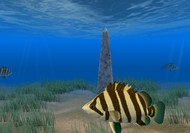 Tiger Fish Screensaver screenshot